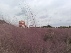 -嘉北郊野公园