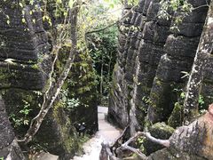 -梭布垭石林景区