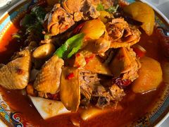 新疆大盘鸡-帕米尔食府(白云观店)