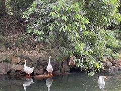 -兰亭风景区