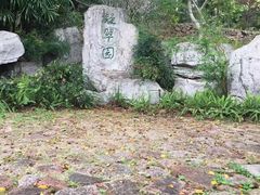 -深圳国际园林花卉博览园