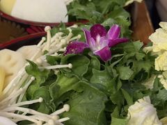 -束河人家(南锣鼓巷店)