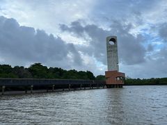 -东寨港红树林旅游区