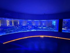 -上和臻品中国菜(花园街店)