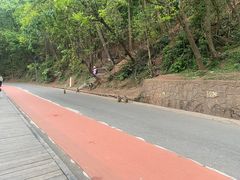 -黔灵山公园