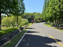 -宜兴龙背山森林公园