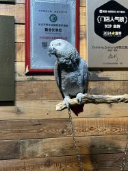 -Zoolung Zoolung动物主题公园(海信广场店)