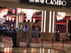-影汇之星8字形摩天轮