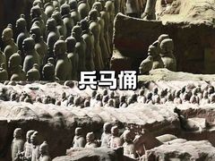 -秦始皇帝陵博物院(兵马俑)