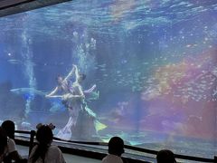-海合安成都极地海洋公园