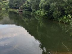 -桃花岭景区