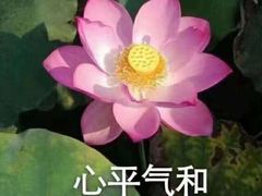 -南阳城烧烤海鲜酒店(和平路店)