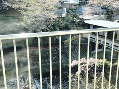-月光园游月山庄