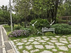 -广东花都湖国家湿地公园