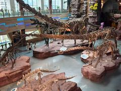 -安徽省地质博物馆