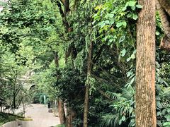 -南山植物园