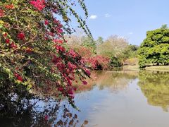 -中国科学院西双版纳热带植物园