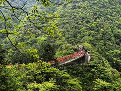 -娄山关景区