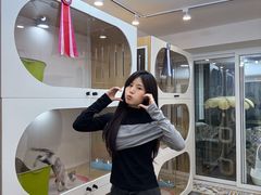 -青奢宠物·青奢猫舍