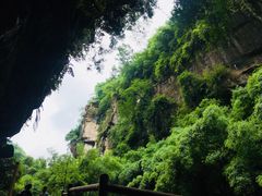 -川西竹海景区