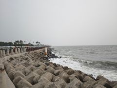 -天津妈祖文化园