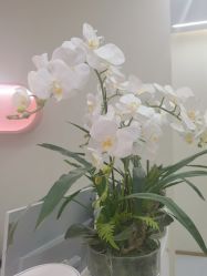 -予初皮肤管理中心