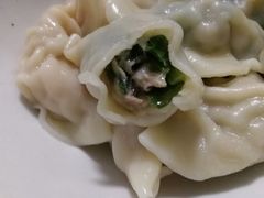 韭菜鲜肉饺-袁记云饺(邯郸路店)