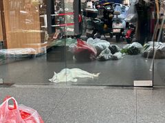 -科学馆(地铁站)