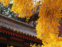 -承恩寺