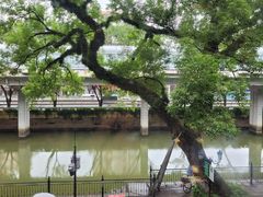 -广东胜利宾馆西关粤中餐厅