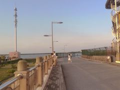 -南汇嘴观海公园
