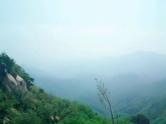 -六里坪国家森林公园