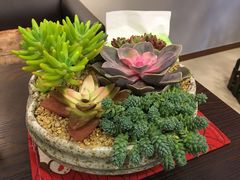 -肆兮眼镜·蔡司·徕卡战略合作店(大坪店)