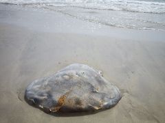 -西涌国际滨海旅游区