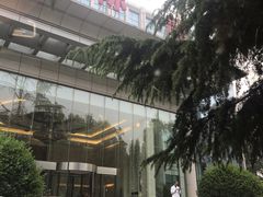 -中国人民解放军总医院(301医院)