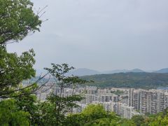 -福道