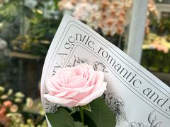 -FEI FEI FLOWER鲜花店·气球派对·宝宝宴布置(虹口德必运动Loft店)