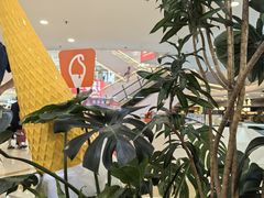 -野人先生Gelato(上海长宁龙之梦店)