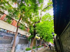 -北京市东四九条小学