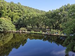 -九龙潭景区