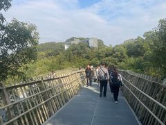 -福道