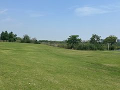 -漕湖湿地公园