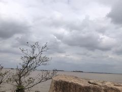 -上海滨江森林公园