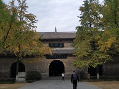 -灵谷景区