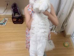 -月星环球港赢在起点早教中心·亲子托班早教体验课儿童兴趣班逻辑思维专注力幼小衔接(普陀中心)