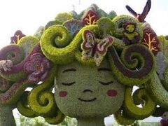 -顺城金记卤鸡·清真