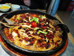 -老板恋上鱼(恒隆广场店)