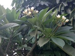 -怡海公园(桂城街道)