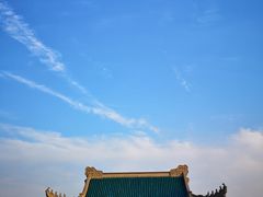-武汉大学-樱园