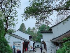 -西溪国家湿地公园